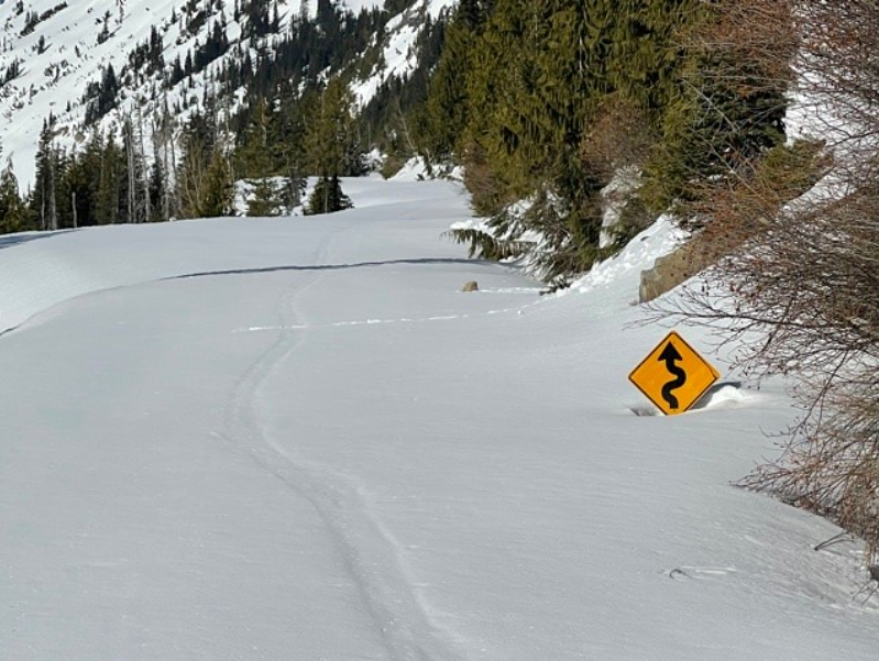 wsdot's tweet photo. Something about the way this sign on Chinook Pass is working so hard to keep its head above the snow has me rooting so hard for it. You got this, 'lil sign! https://t.co/iERouQuo9I