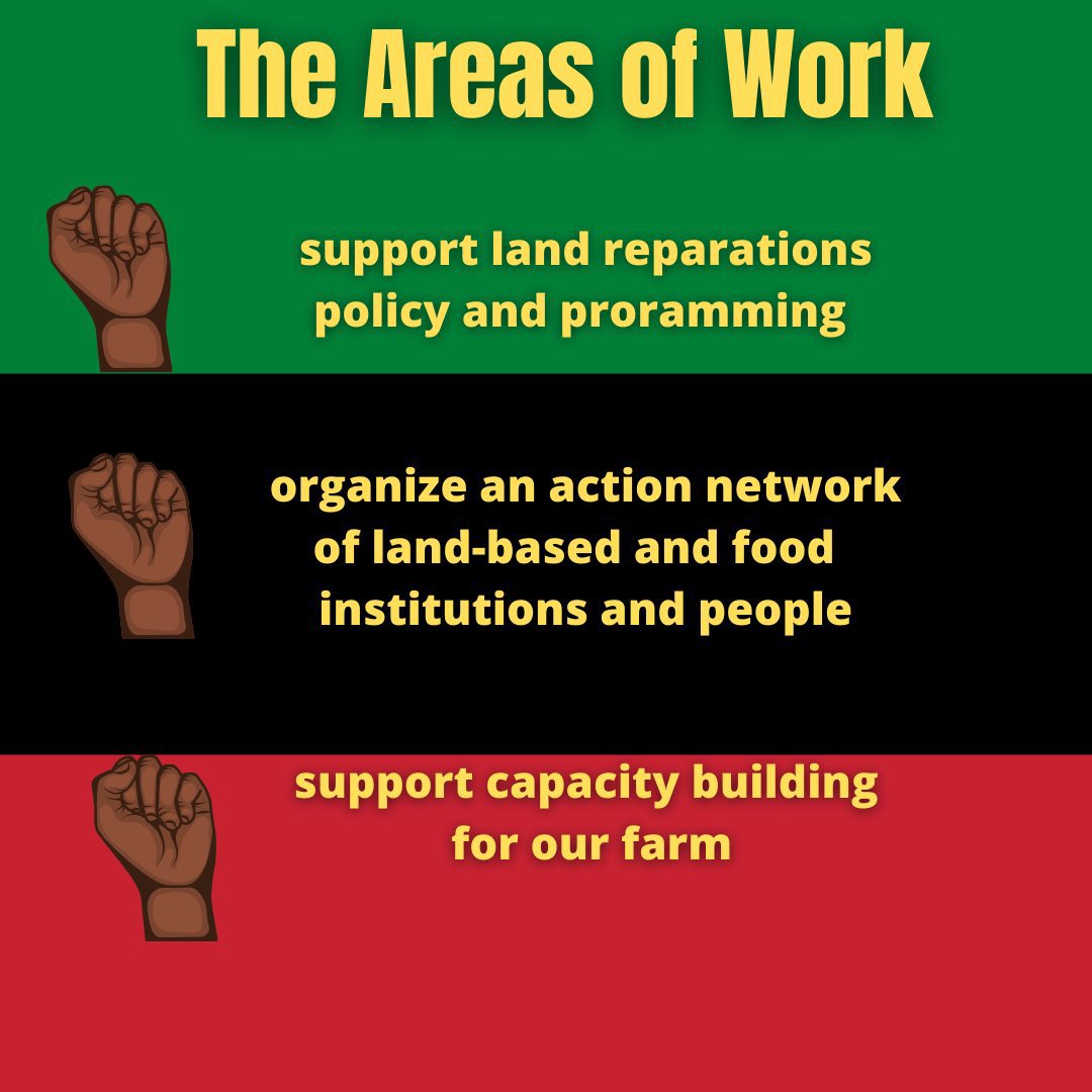 Black Yield Institute tweet media