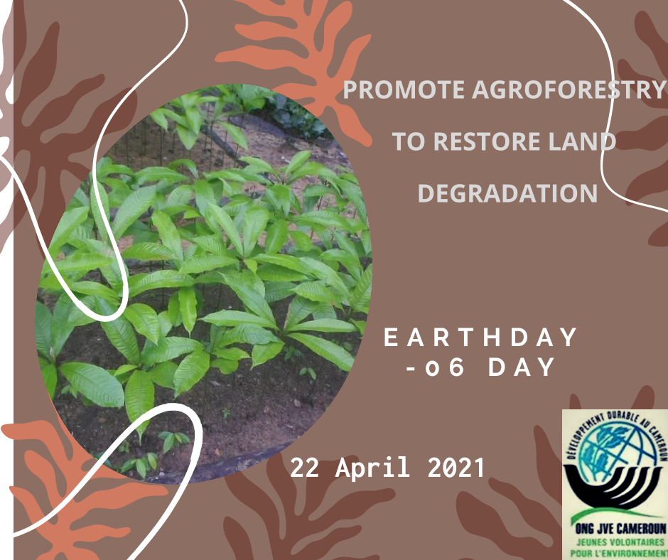 we are in road
<a href="/JBurkina/">Julio burkina</a> <a href="/Jveivoire/">JVE Côte d'Ivoire</a> @jvesenegal <a href="/yvegambia/">YVE Gambia</a> <a href="/YVE_Nigeria/">YVE Nigeria</a> <a href="/rwandayve/">Young Volunteers for the Environment (YVE) Rwanda</a> <a href="/GYBN_CBD/">Global Youth Biodiversity Network (GYBN)</a> <a href="/EarthDayAfrica/">EARTHDAY.ORG-AFRICA</a> #EarthDay #RestoreOurEarth <a href="/Cladelle2/">Cladelle Tido</a> <a href="/bsdkrs/">Blondel Silenou</a> <a href="/HPaglaga/">Hervé Donatien MAKEBEL PAGLAGA</a> @PossiWambo <a href="/AvougueP/">AVOUGUE PEKAM</a> <a href="/UNBiodiversity/">UN Biodiversity</a>