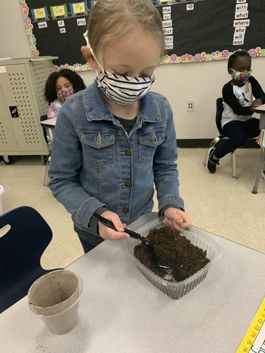MrsBishopNPSD's tweet photo. Planting seeds of success in K today! Students spent all week learning about the process of growing and caring for flowers. Today, each student planted a sunflower seed of their very own! https://t.co/klB17DKuBP