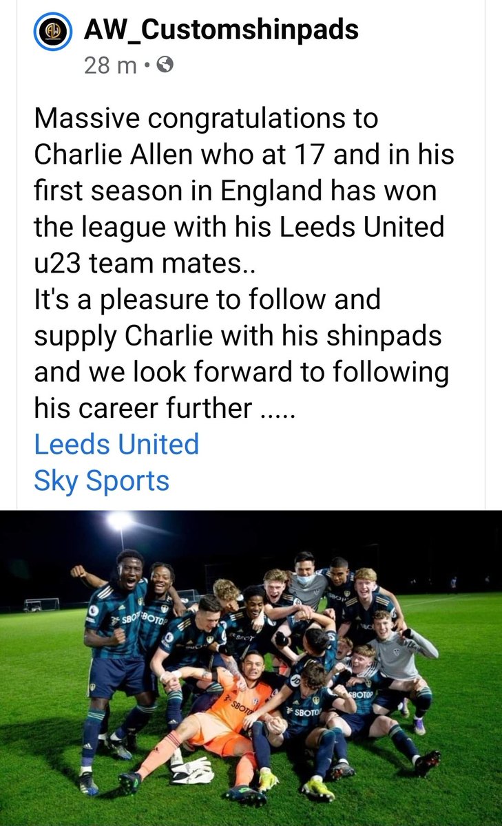 AWCustomShinpad's tweet image. 