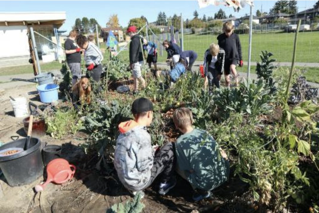 sd61schools photo