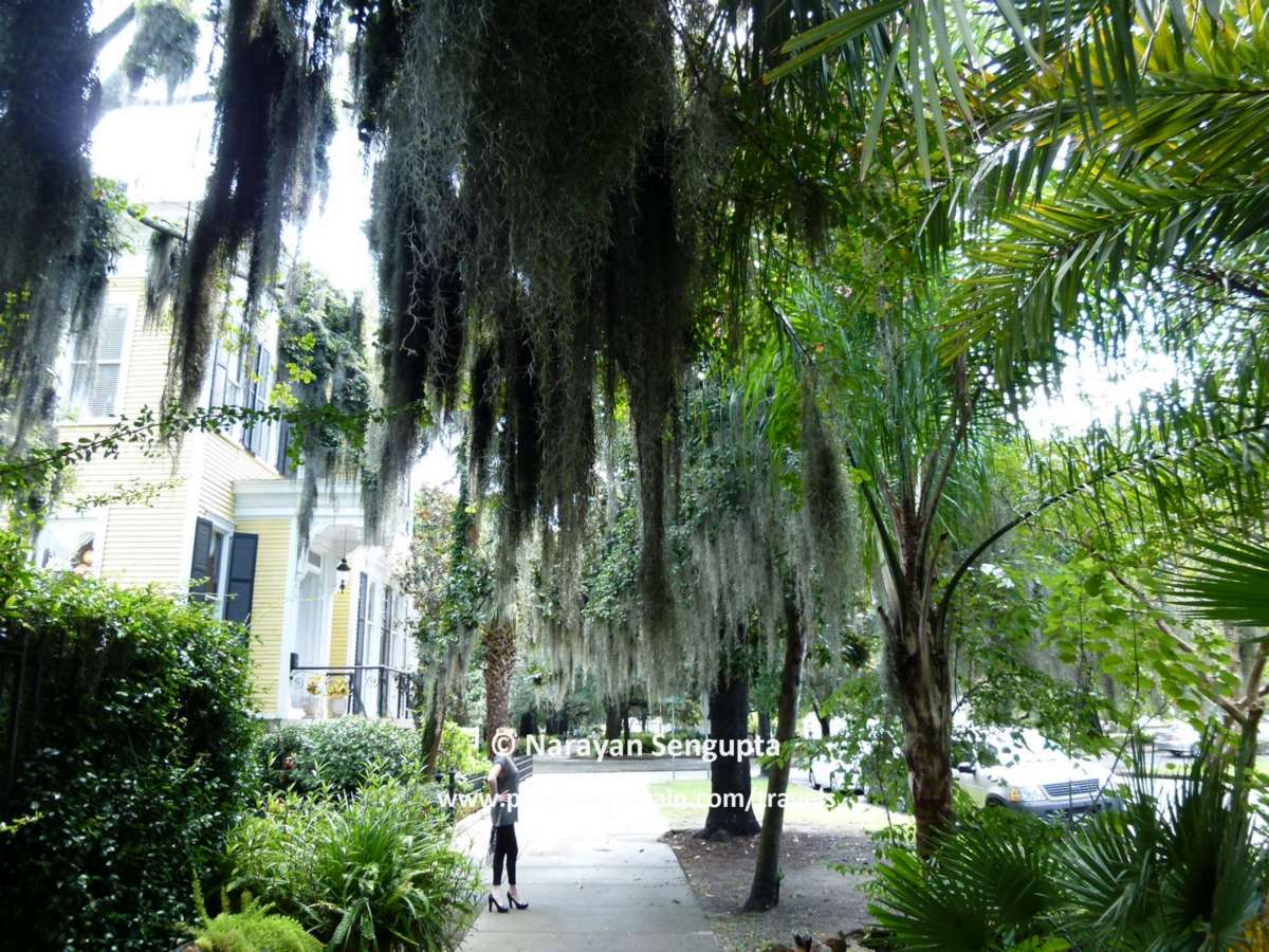 Savannah - 6/  #travel  #Top4Theme  #FlashbackFridayz - So much to see just walking around aimlessly. Except the grid pattern makes it easy to find your way back to wherever you want. On hot days, take plenty of water.