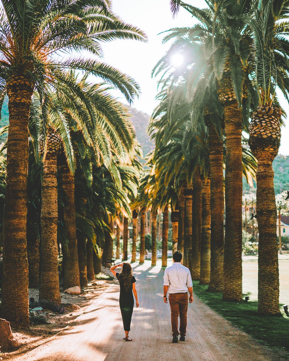 The perfect entry road to start your getaway 🙌