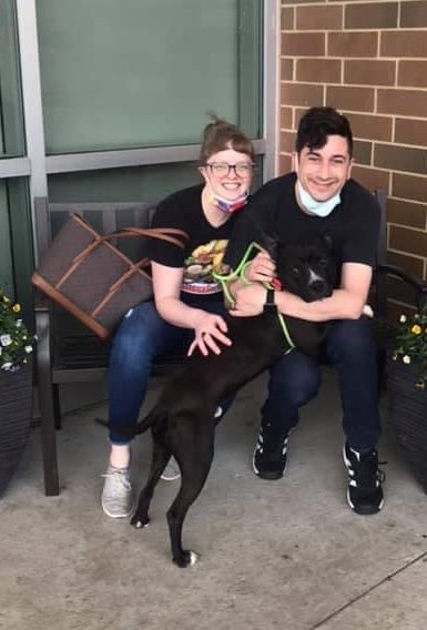 CityDogsCLE's tweet photo. On the frontlines of helping homeless dogs, ACOs need patience AND creativity! Phillips had been stray for a while so a trap was set with various treats. What worked? @tacobell soft taco🌮🤣 And after a brief stray hold, Phillips was adopted! #AnimalControlOfficerAppreciationWeek https://t.co/2iRcjBD28P