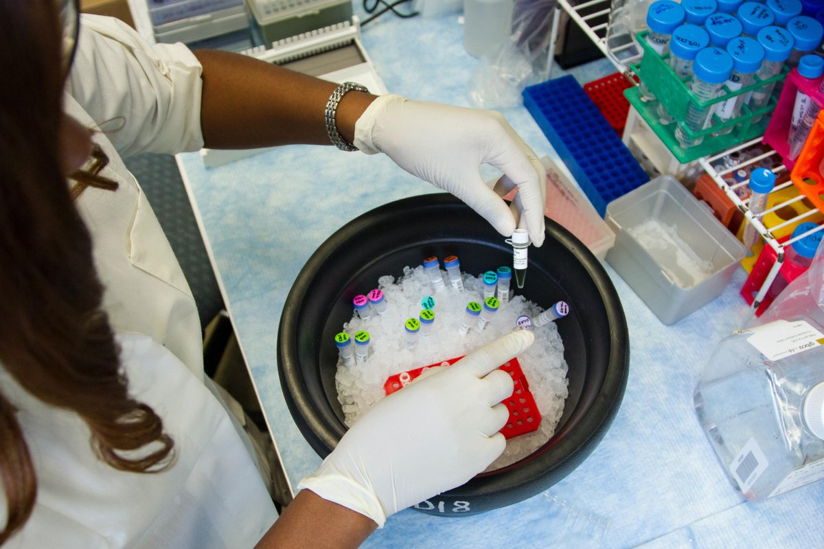 Pancreatic Cell News tweet media