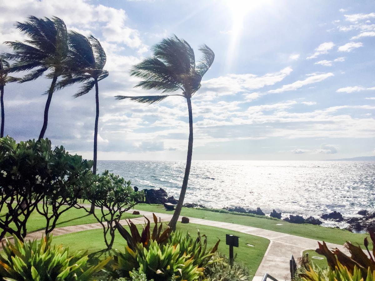 NKBA Aloha Chapter tweet media