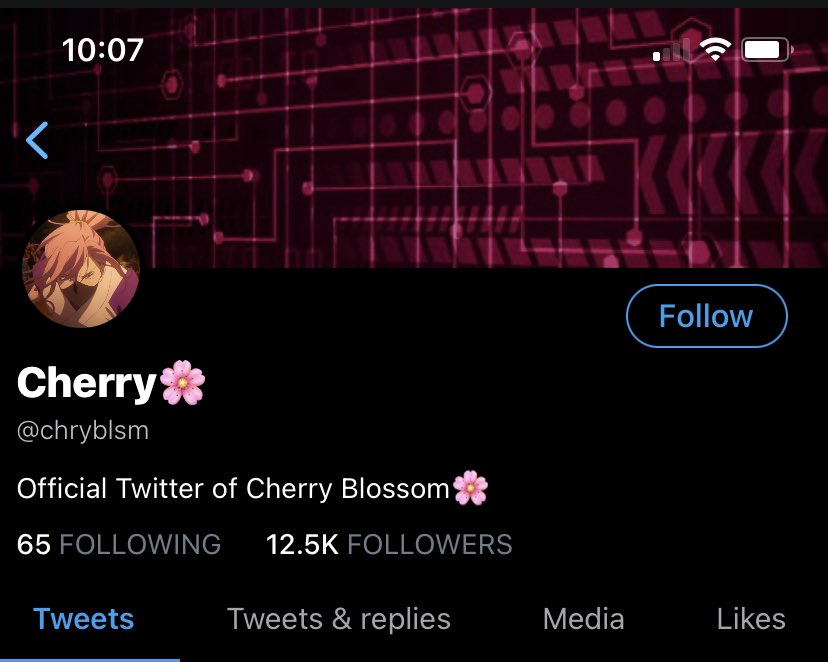 cherry is Very Pleased that he has 100 more followers on twitter than joe