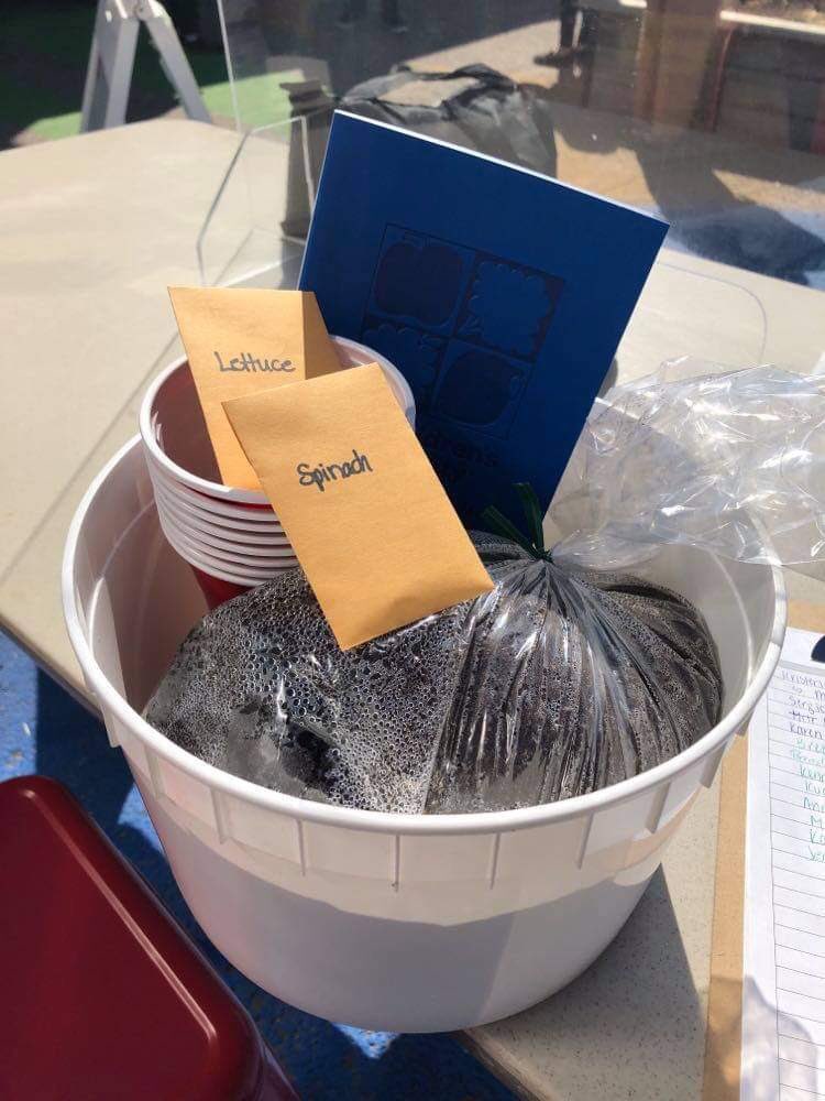 goodfoodyyc's tweet photo. A big thank you to @Villageicecream for the donation of ice cream pails for our gardening programs! Not only do you provide delicious ice cream, but are helping community grow their gardens at home (one pail at a time 😄) .

#goodfoodyyc #community #CommunityGrowsHere #yyc https://t.co/7unVilx7dW