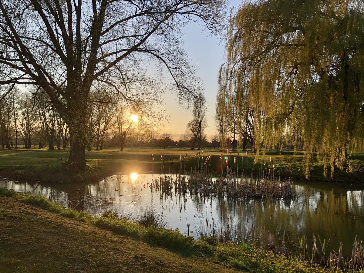 EVENING GOLF ///
Great shot of the course looking amazing in the evening sun.   📸 - @adamtrettpga 
#golf #eveninggolf #goldenhour #photography