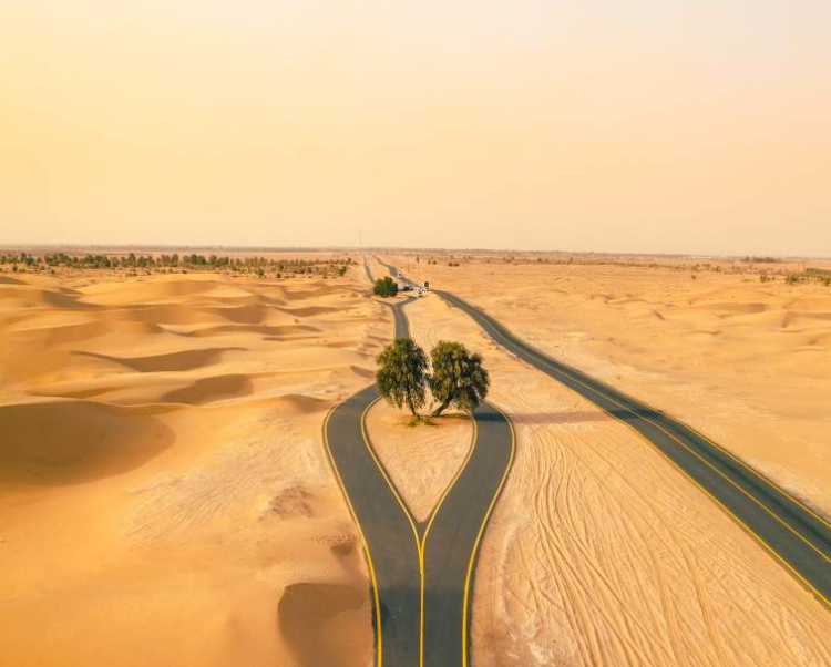 elcorreo_ae's tweet photo. Las mejores rutas de Dubai en bicicleta https://t.co/6E5tsv6YQb https://t.co/Hp1Rk91HDE