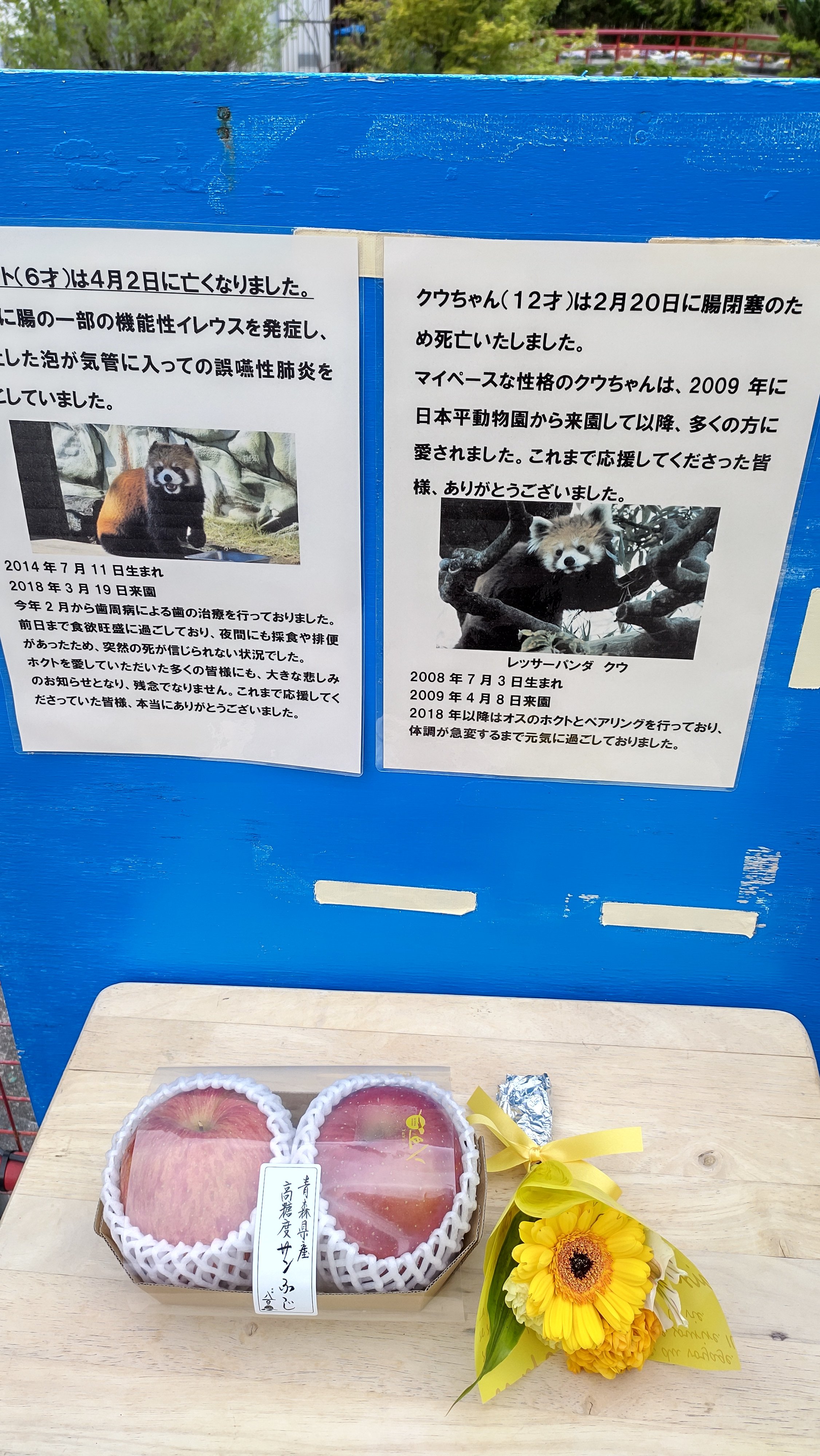 さとこ 祝ホクト遊亀動物園来園 0k9y18mfimg8x5n Twitter