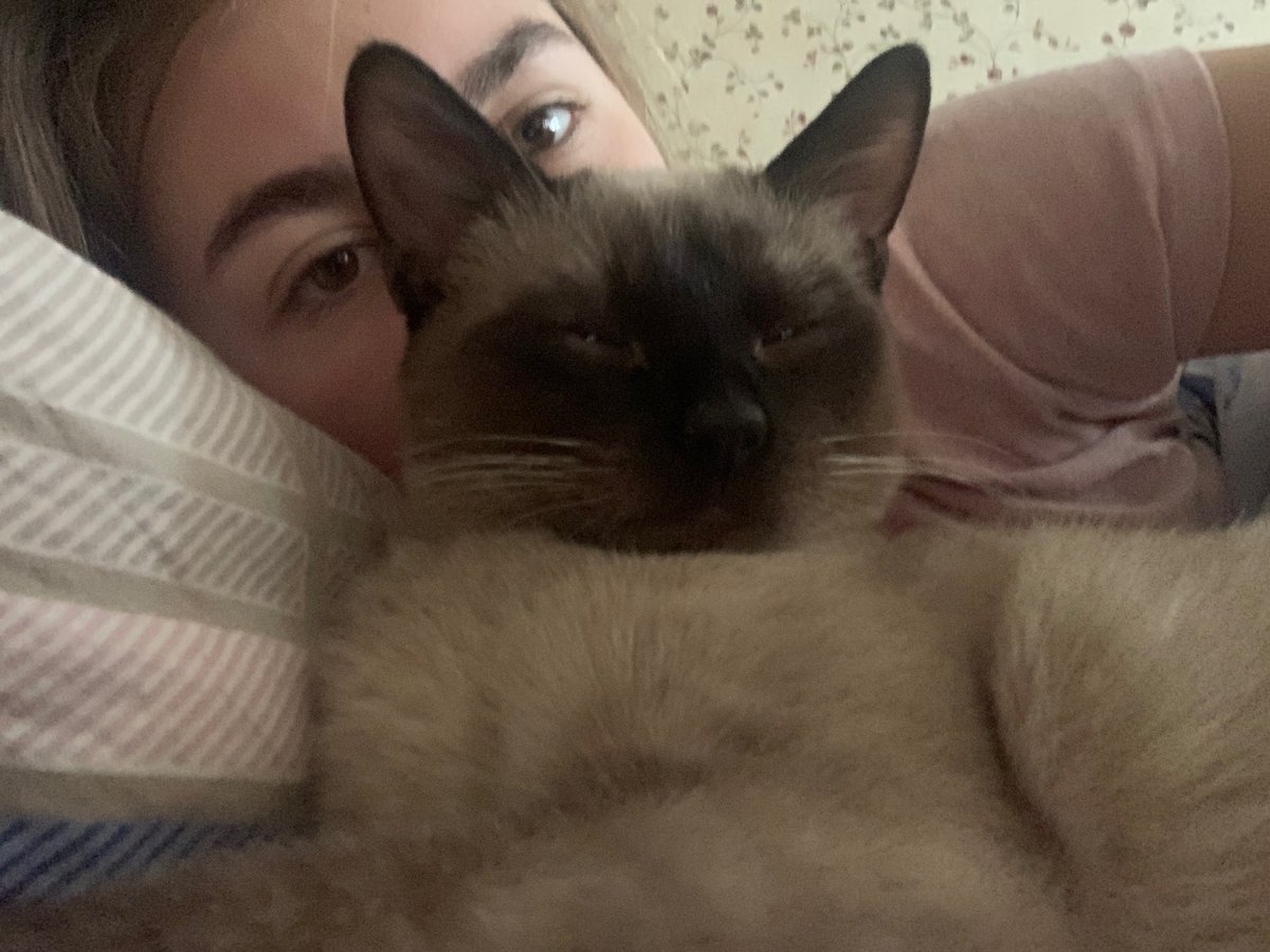 poolinaa_'s tweet photo. ты котик ты котик!!!! https://t.co/vJBUWh8VWw
