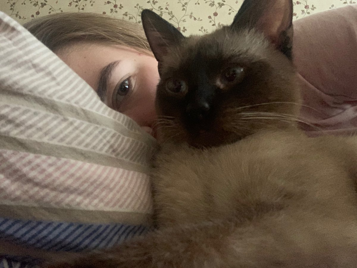 poolinaa_'s tweet photo. ты котик ты котик!!!! https://t.co/vJBUWh8VWw