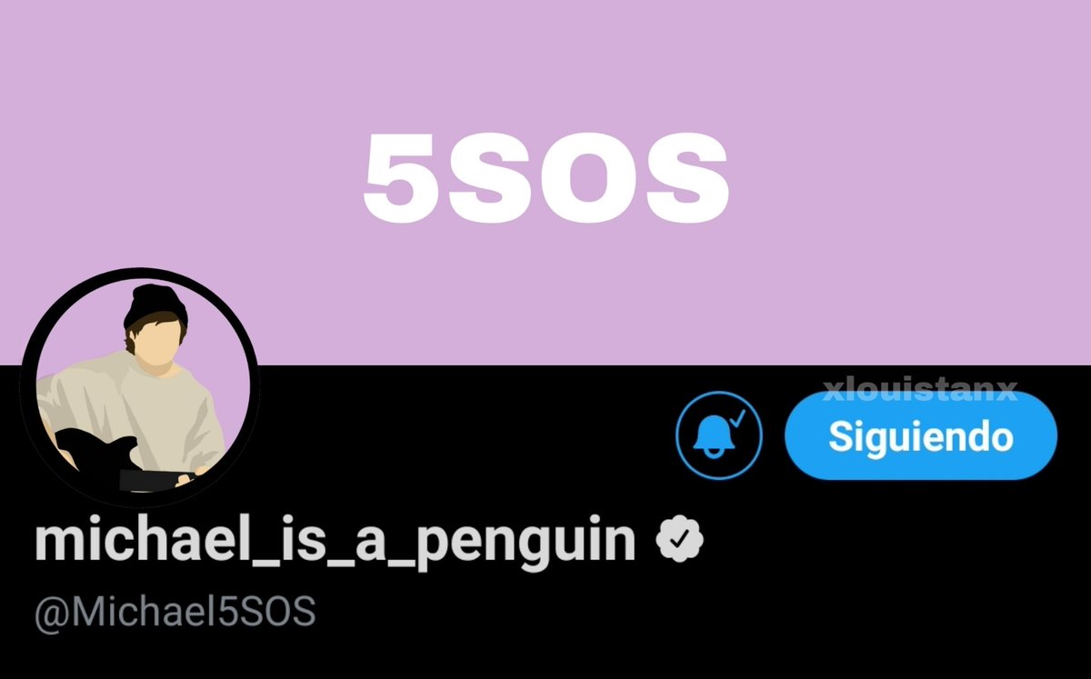 safetyswft's tweet photo. Well guys, look at the matching layouts I made for you 🥺 @5SOS https://t.co/kkNWmecePy