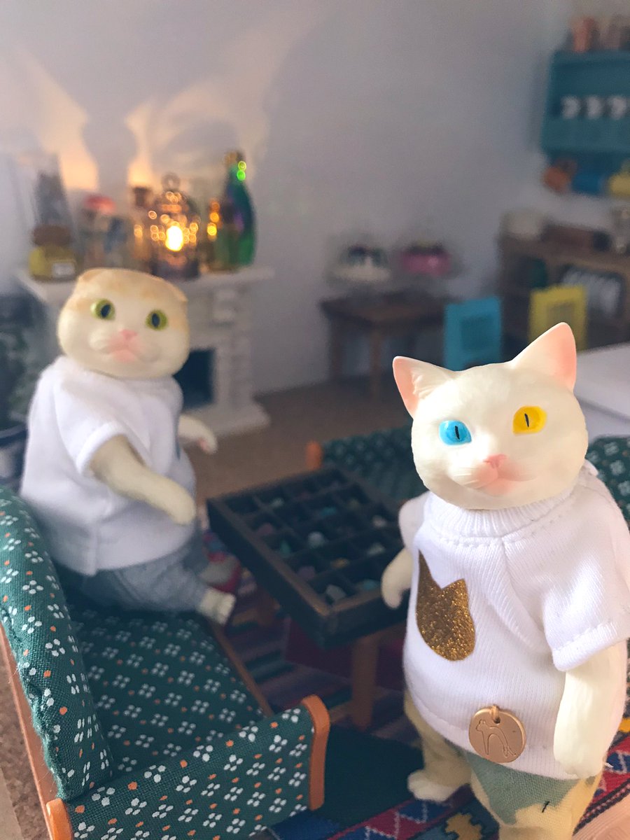 necocasakuzou's tweet photo. おはようございます😃
久しぶりににゃんずの家を訪れました。先日のドールショウの品をみせてくれるよう🎶
@Magicaldragon3 魔法的竜鉱物店様の鉱物標本セット✨✨綺麗〜！！
しっかりと石の名前まで書いて下さってるから勉強にもなる！！凄いです！ありがとうございました！

#DS63 #魔法的竜鉱物店 https://t.co/TGguYbmHrn
