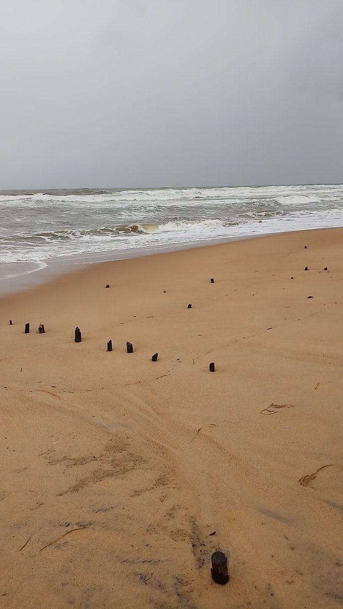 netra_chand's tweet image. An ocean breeze puts a mind at ease! 💕