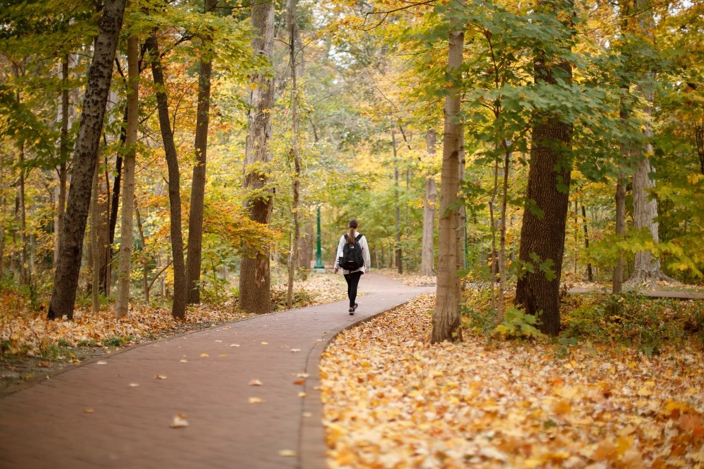 IU_Interp_Class's tweet image. Friday Trivia: Dunn’s Woods is home to over 12,000 trees! Learn more about the ongoing efforts to preserve and improve this iconic IU space by visiting the blog linked in our bio! #interpretthis #iubloomington