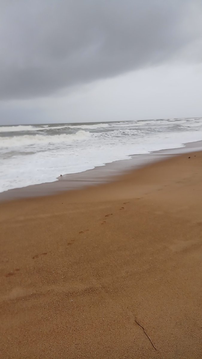 netra_chand's tweet image. An ocean breeze puts a mind at ease! 💕