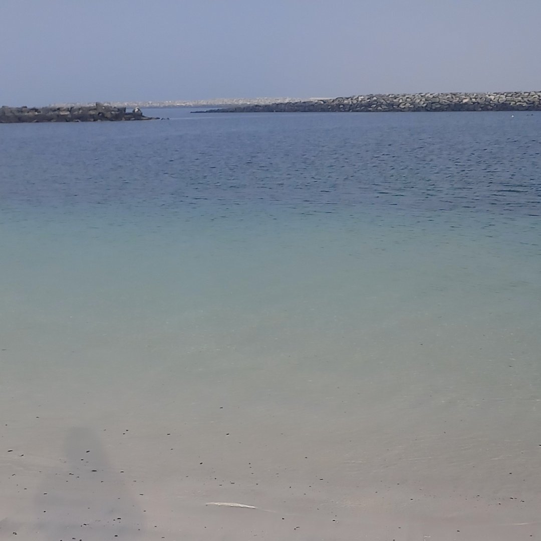 netra_chand's tweet image. An ocean breeze puts a mind at ease! 💕