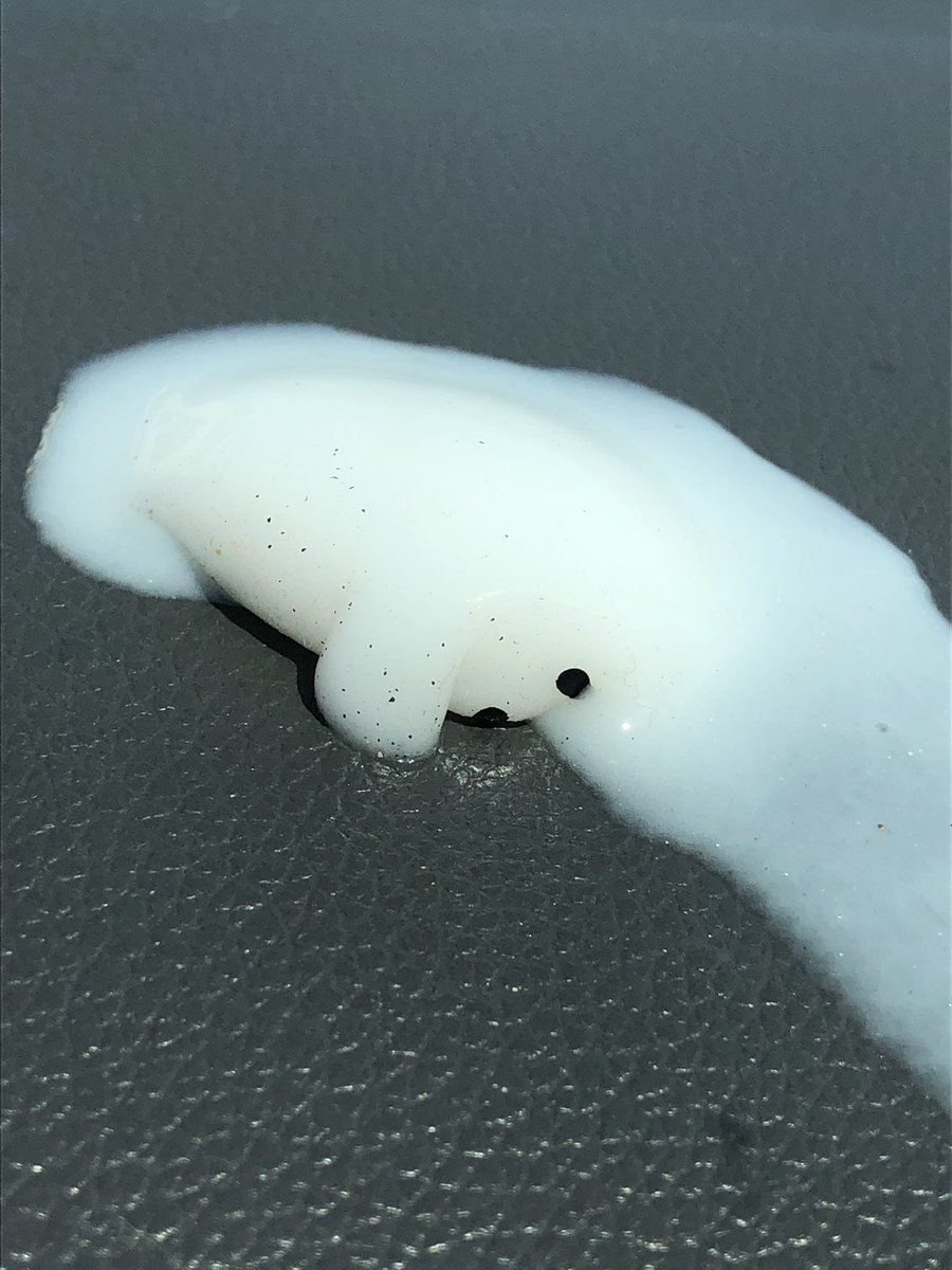 _The_Baws's tweet image. #flatfuckfriday before and after