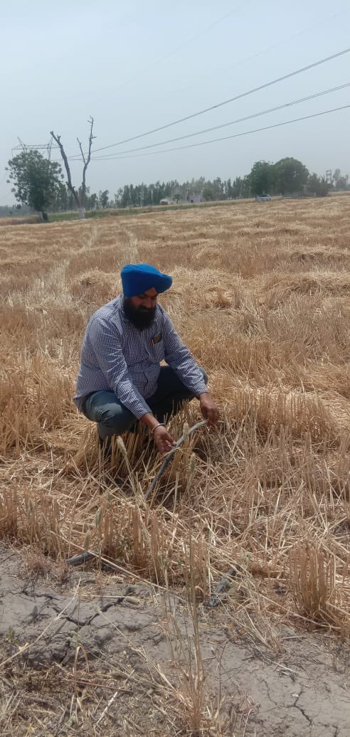 AjitJisl's tweet photo. To effectively manage issue, traditional practice of #FloodIrrigation shd STOP.
Partnership with #Haryana Govt @JainIrrigation is growing Rice-Wheat in Canal Command for last 3 years. Implemented #Drip_System & Hi-Tech Agri practices.
Results are worth adopting
#MoreCropPerDrop https://t.co/MAu4uVPLBR