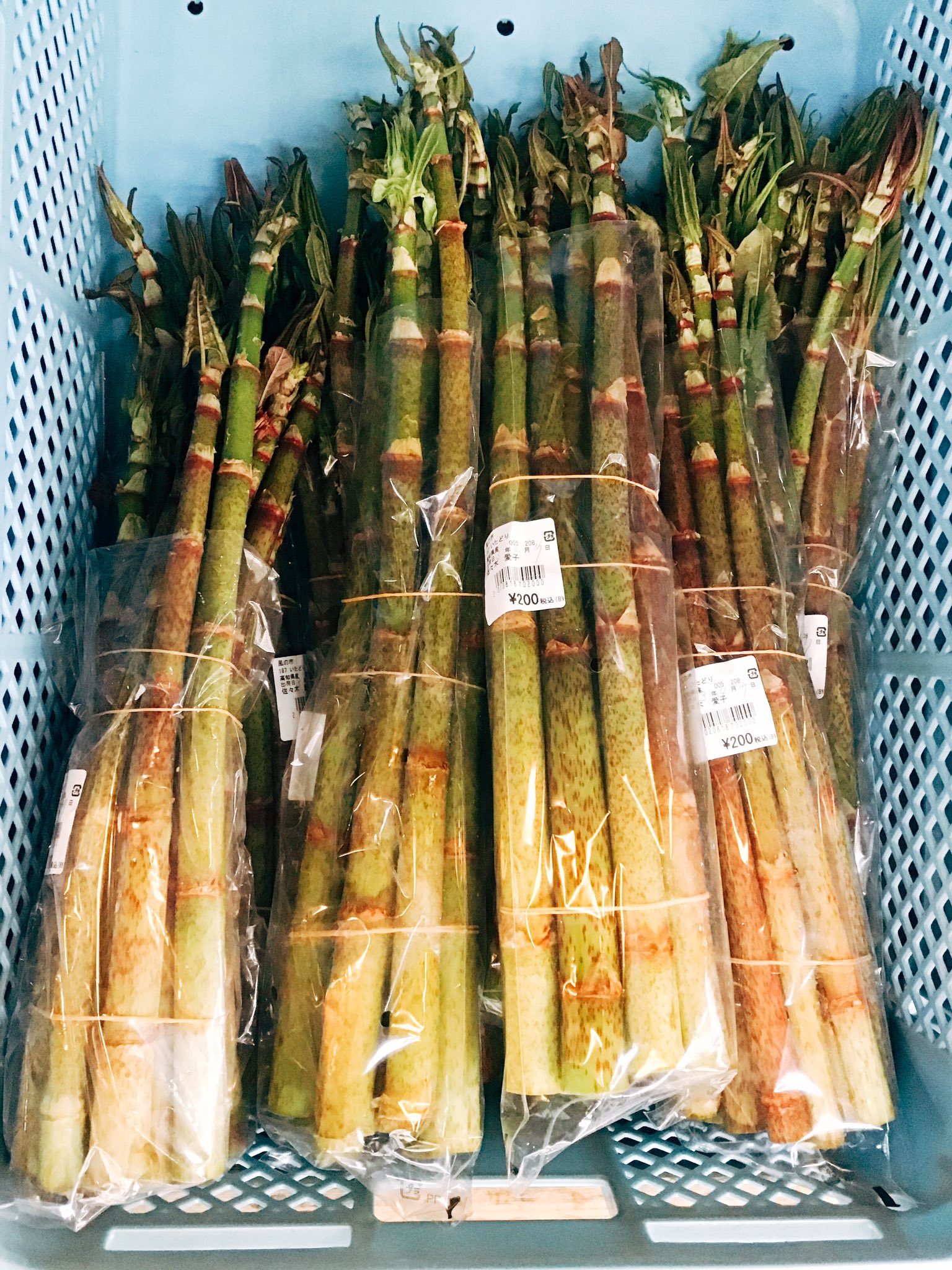 道の駅南国 風良里 本日の風の市其のニ 高知ケンミン ソウル山菜 イタドリ も続々入荷 下処理はちょっと手間が要りますが その手間さえもご馳走になる位の美味しさ お忙しい方には下処理済のイタドリも イタドリ 高知県 山菜 春の味 食べ