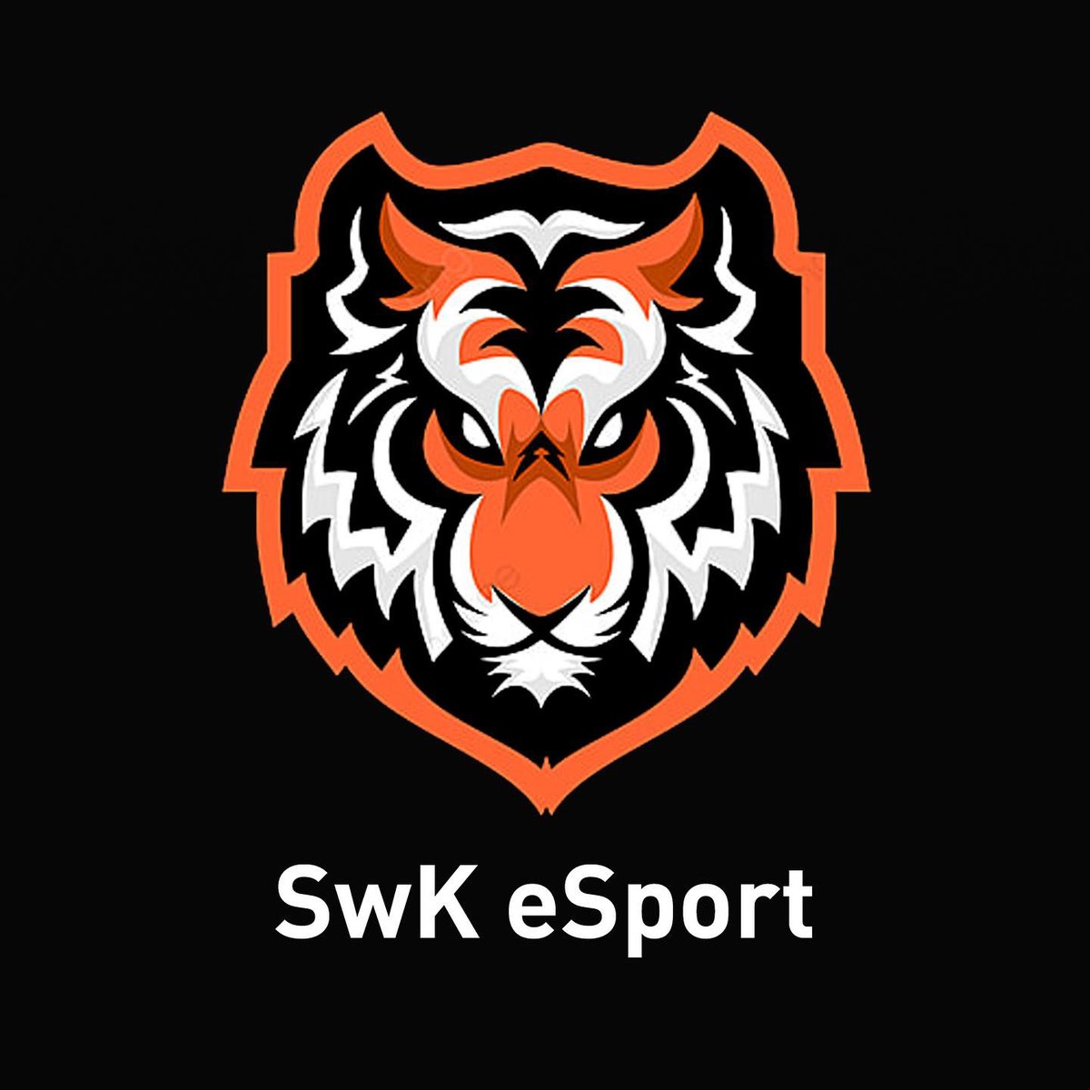 SwkEsport's tweet photo. Velkommen om bord på holdet @TeeEff29 🔥

Vi glæder os til at arbejde med dig 🔥
#SwingMedOs https://t.co/GwkiqnJtiR