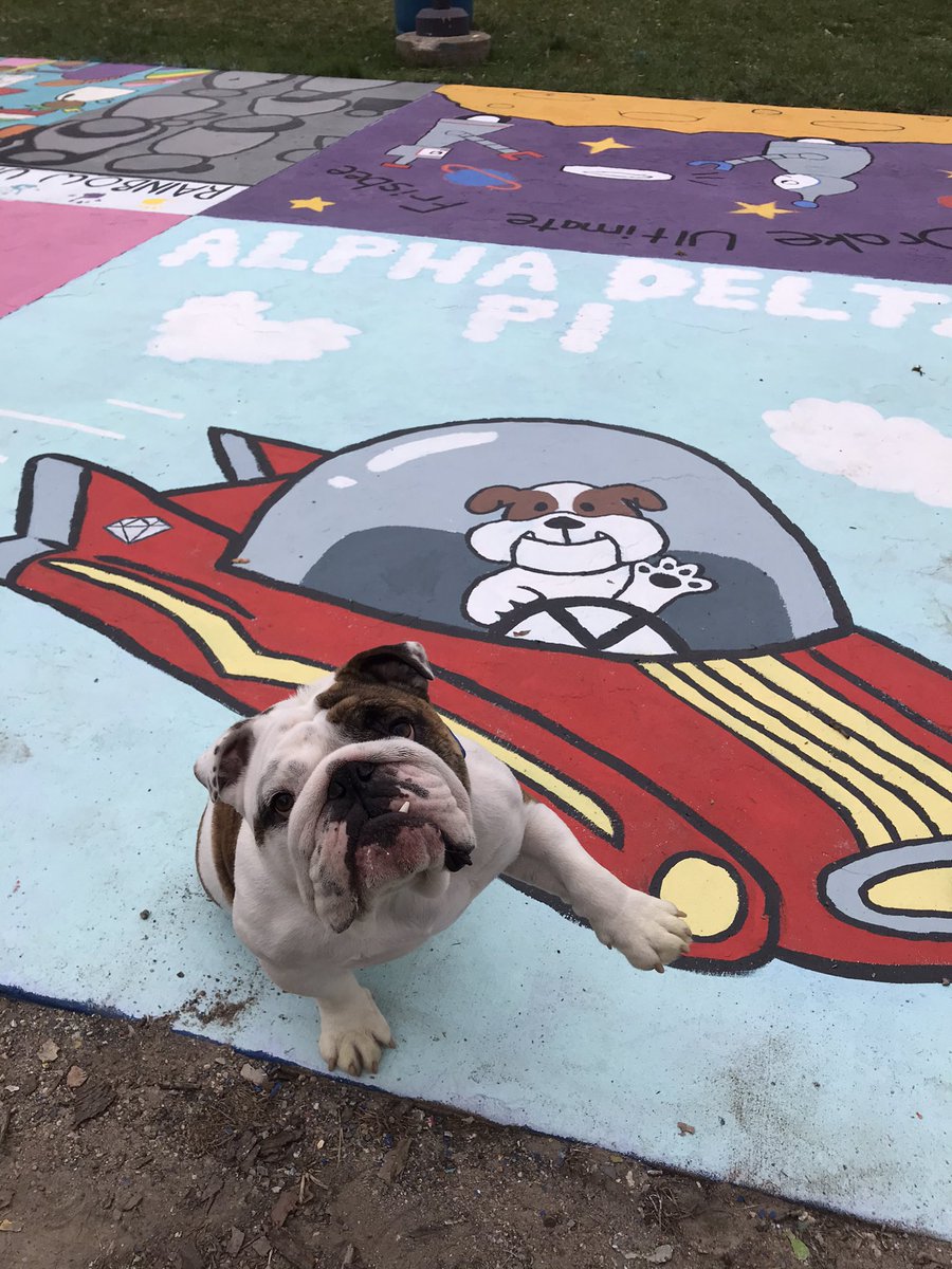 Clearly I was the model for this #StreetPainting square, raised paw and all. Thanks, <a href="/Drake_ADPi/">Drake ADPi</a> ! (I only keep one fang out though.) <a href="/DrakeUniversity/">Drake University</a>