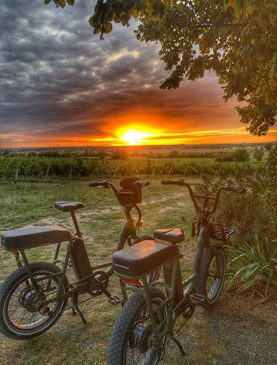 With tourism opening up from mid-May now is the time to think about booking that trip to freedom. Our EBike #winetours are Covid aware, privately run for two people only, protecting you in the open air of #loirevineyards 
lagrandemaison.net/covid-aware-el…