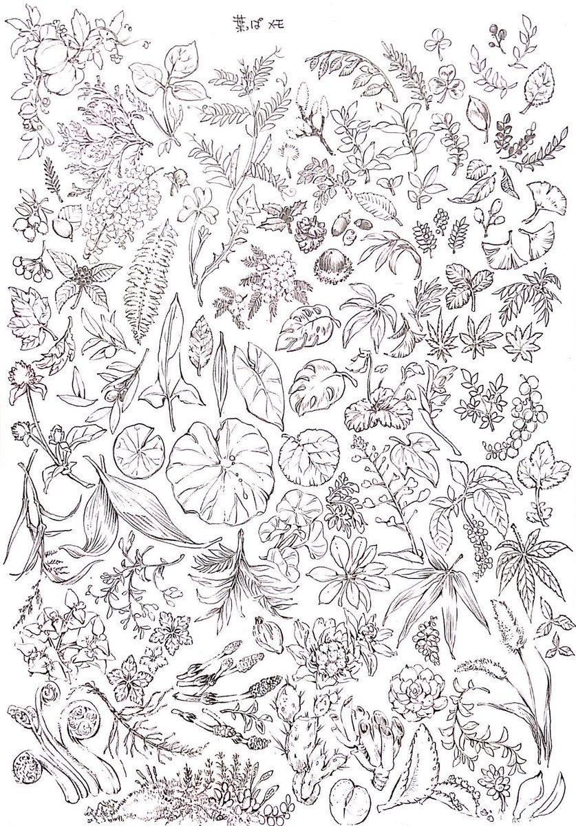 お絵描きのリハビリに描き始めた葉っぱメモ、B5一枚埋めるだけでもかなり時間かかってしまったけど
お絵描き楽しいきもちは思い出せた🌿 