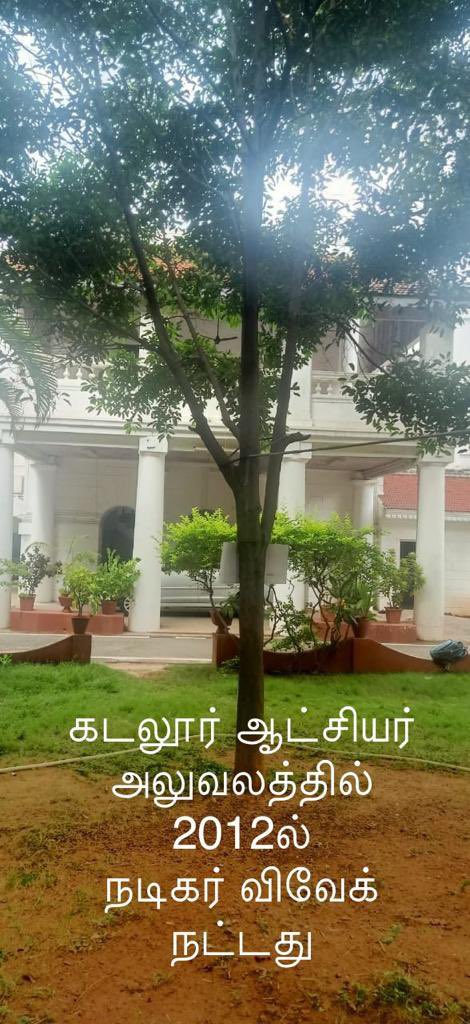 sooriofficial's tweet photo. உங்களால் சிரித்த, சிந்தித்த கோடிக்கணக்கான மனங்கள் மட்டும் அல்ல... நீங்கள் உருவாக்கிய விழிப்புணர்வால் நடப்பட்ட கோடிக்கணக்கான மரங்களும் உங்களுக்காகக் கண்ணீர் விடுகின்றன... சென்று வாருங்கள் @Actor_Vivek சார்🙏 https://t.co/cbV8dg6Efu