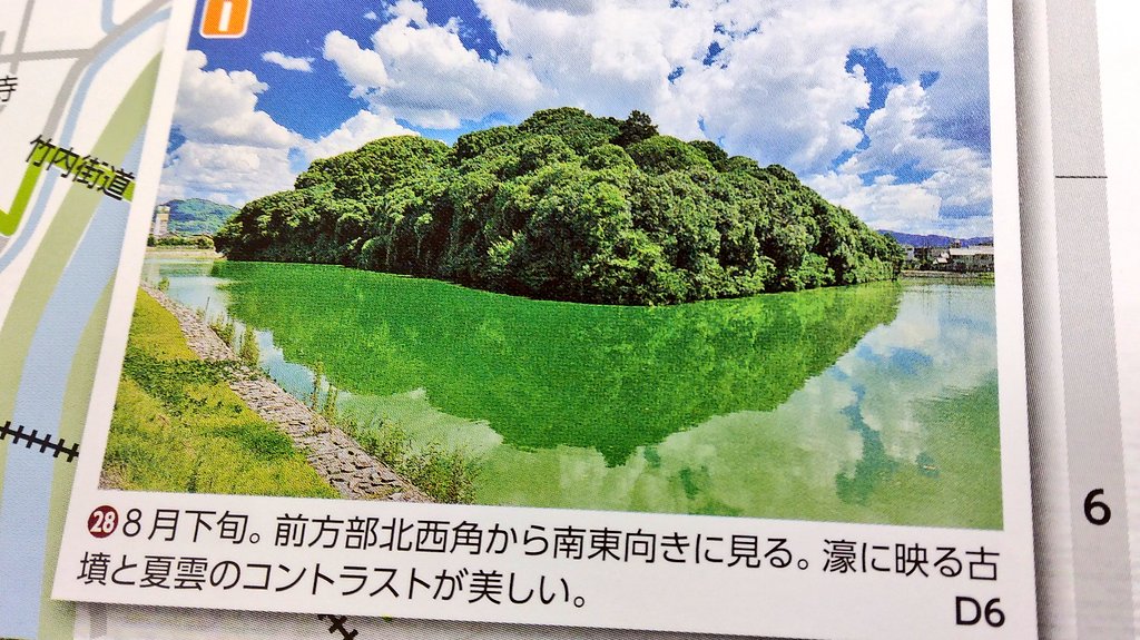 白鳥陵古墳 白鳥陵古墳