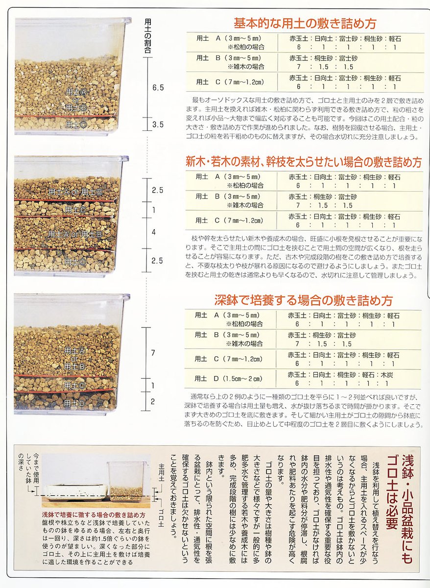 近代出版 編集部 盆栽用語集 ごろつち ゴロ土 盆栽用土は使用上の目的によりいくつかのサイズ別に分けられ その中で一番大きい粒のこと 鉢底に薄く敷きつめ その上に植え土 用土 を入れる 余り水の流出がスムーズになる 鉢穴を通して空気の流入を 近代出版 編集部 盆栽用語集 ごろつち ゴロ土 盆栽用土は使用上の目的によりいくつかのサイズ別に分けられ その中で一番大きい粒のこと 鉢底に薄く敷きつめ その上に植え土 用土 を入れる 余り水の流出がスムーズになる 鉢穴を通して空気の流入を