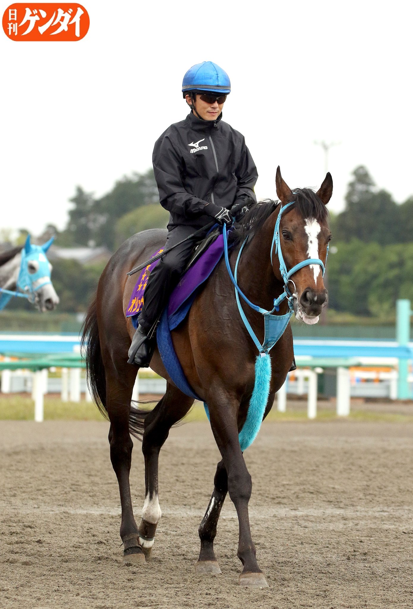 競馬 オジュウチョウサン ホットミルク社 Sサイズぬいぐるみ 未開封