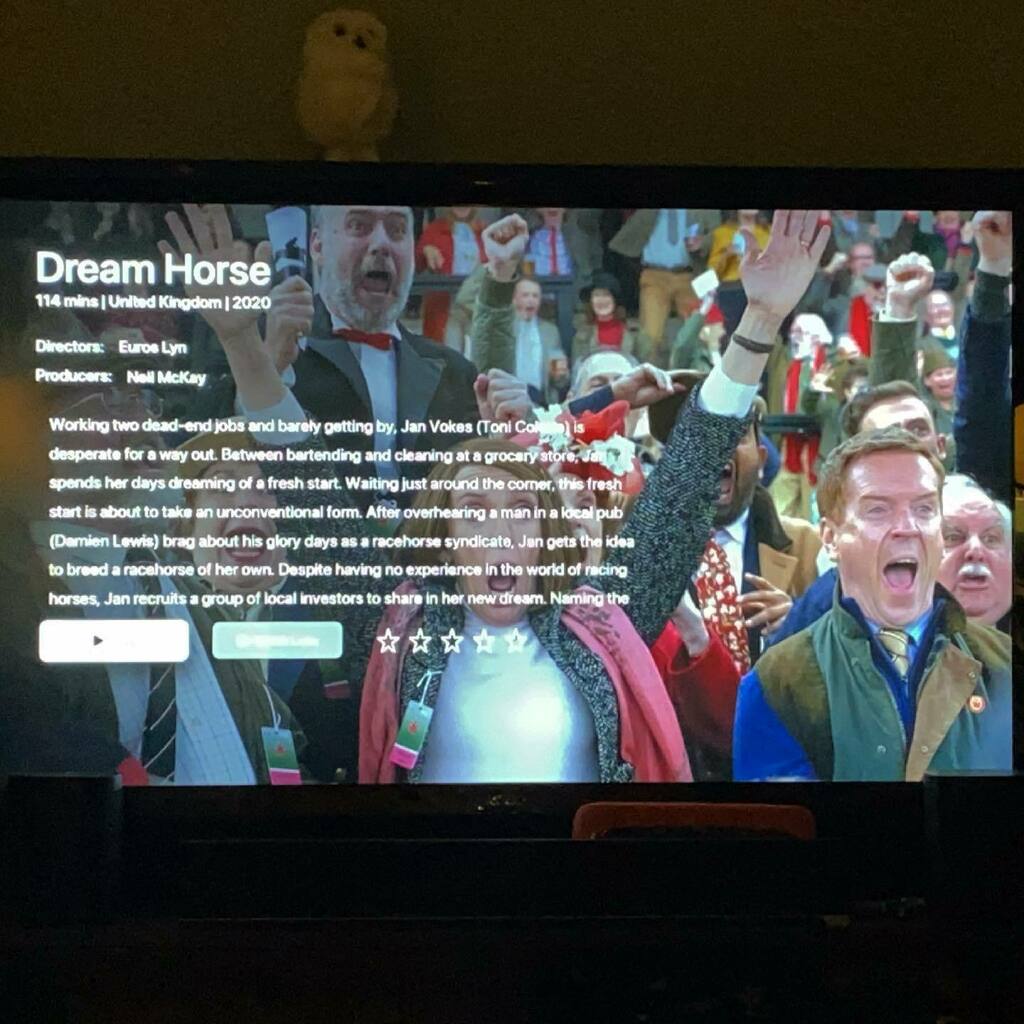 Ended today’s streaming with #dreamhorse based on a true story. Light hearted, inspirational, and Welsh!  It’s the #hwyl!  @clefilmfest #ciffstreams #ciff45 #ciff45streams instagr.am/p/CNwMHrtnQBe/