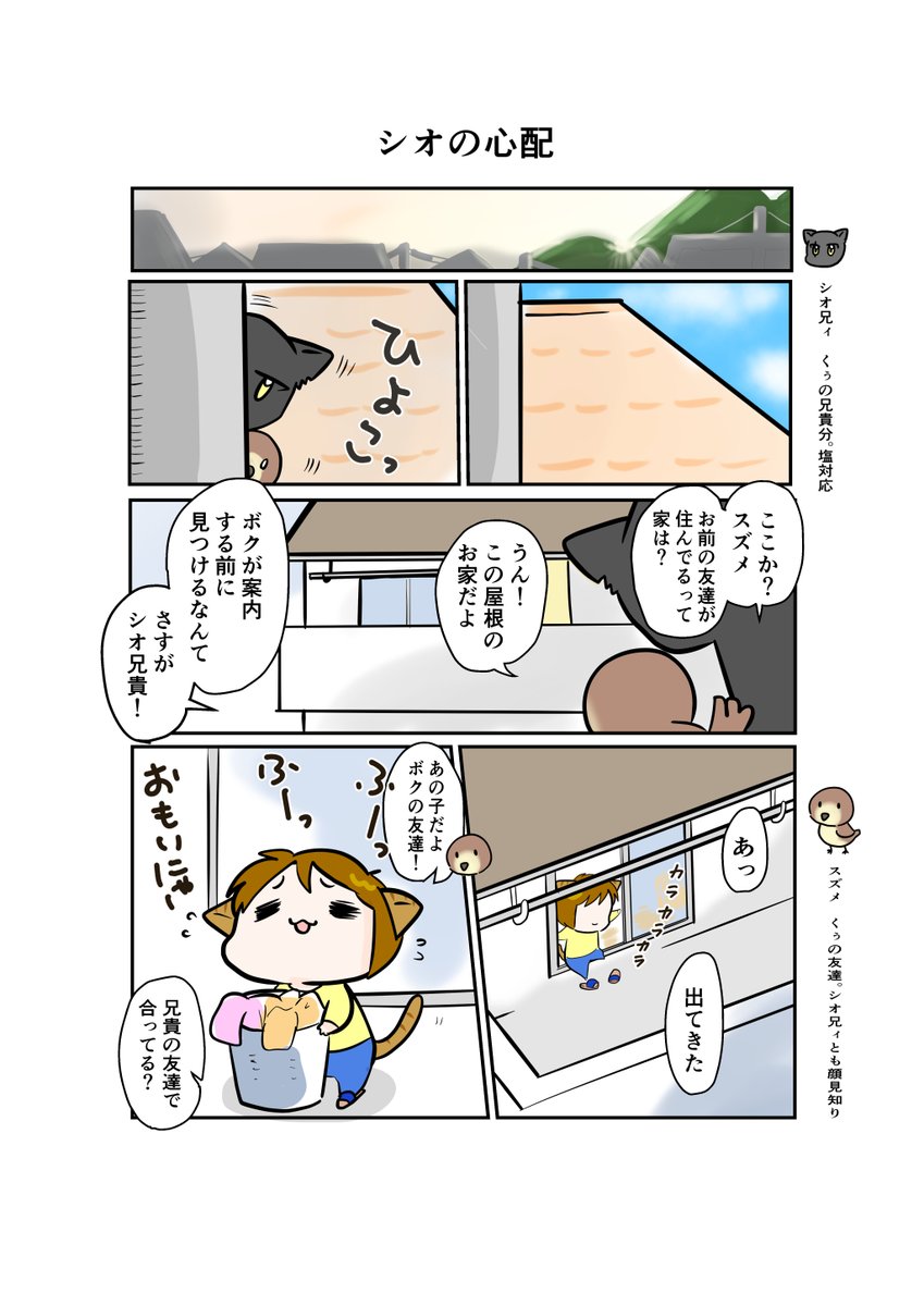 #スパダリにゃんこ 
くぅの日常 第72話 
シオの心配

スーパーダーリンにゃんこのくぅと飼い主しずくの日常マンガ。

ノラ時代の友猫、シオ兄貴。
偶然にもくぅの居所を探し当てたようですが…。

#創作マンガ #マンガが読めるハッシュタグ 