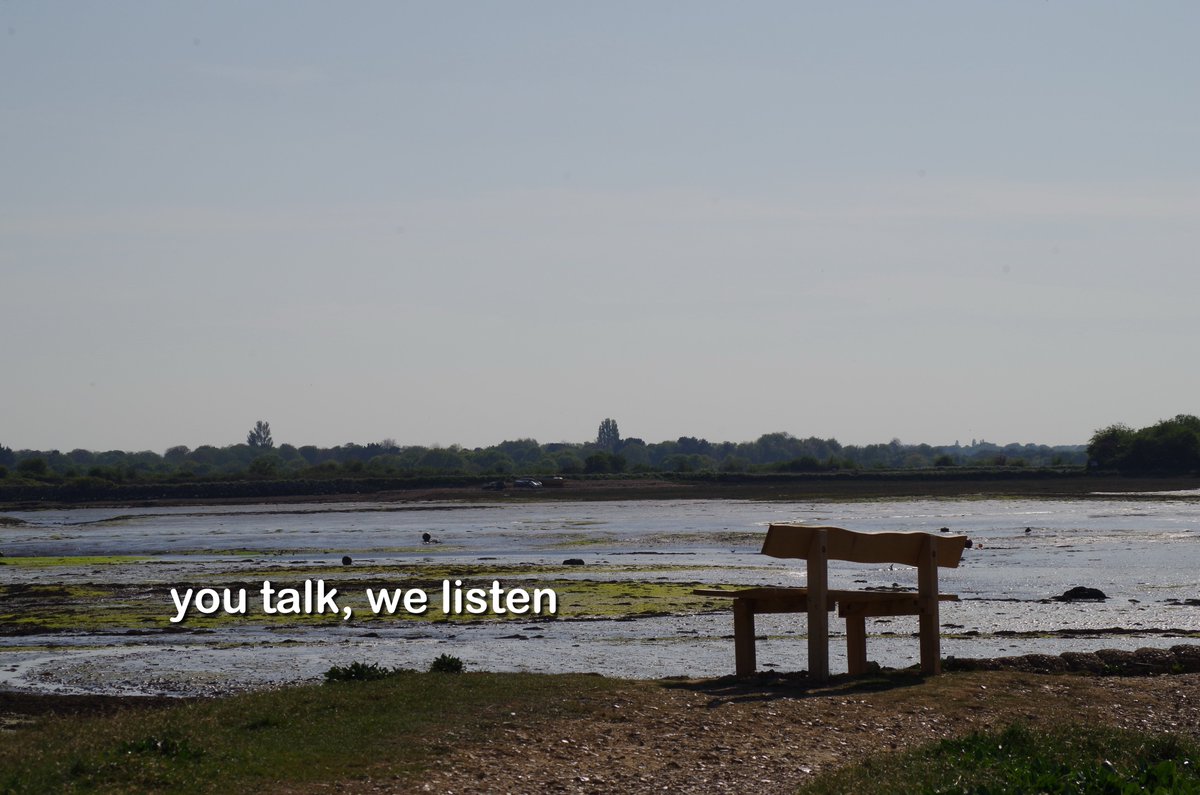 homeopathical tweet media