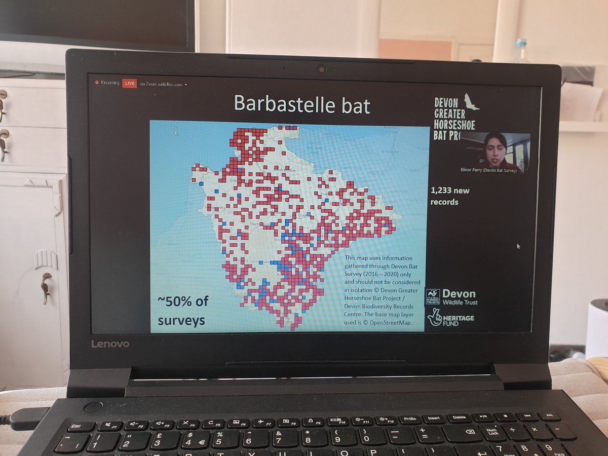 JessSmallcombe's tweet image. A great morning at the #swbatconf so far! Well done to the #dghbp. Such great work. Looking forward to the rest of the day 🦇 @_BCT_