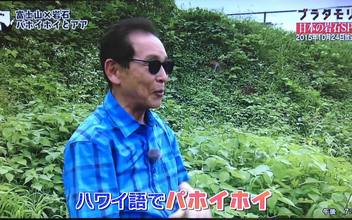 ブラタモリ ひすい切り石 カット翡翠