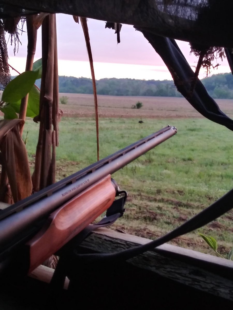 epc19111's tweet image. 