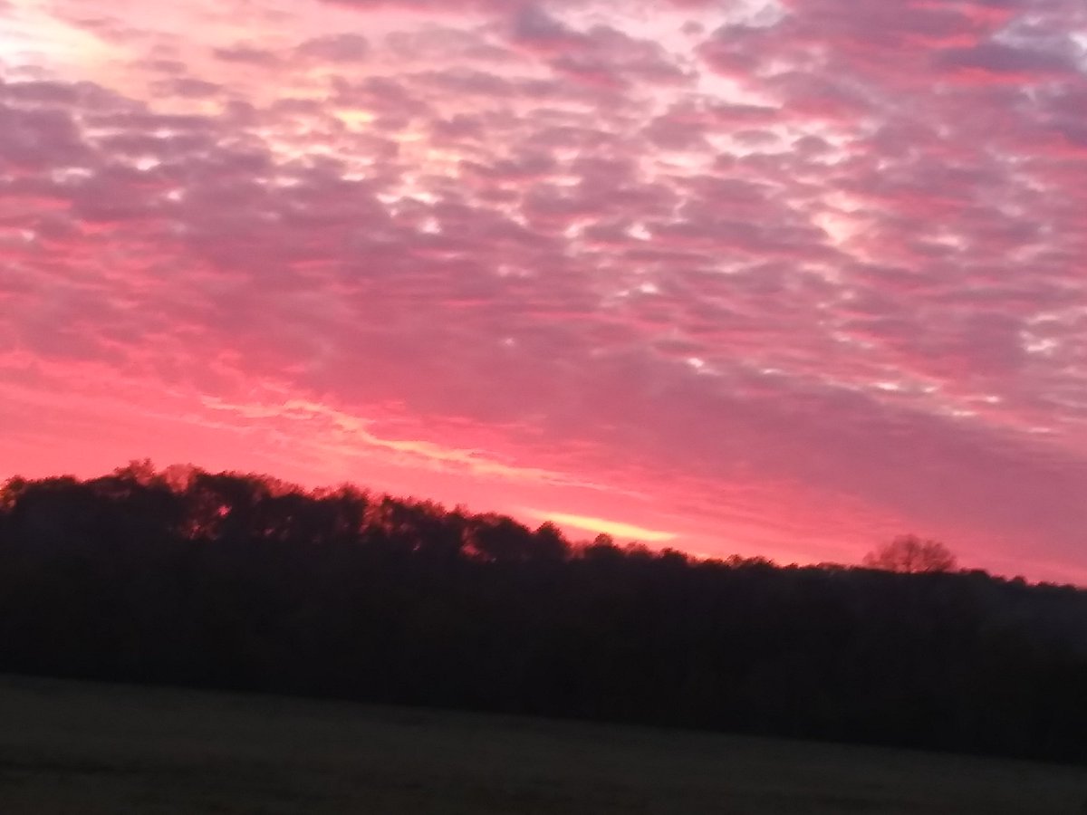 epc19111's tweet image. 