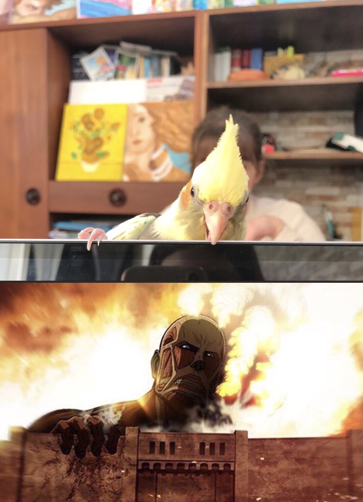 bibbletaee's tweet image. 