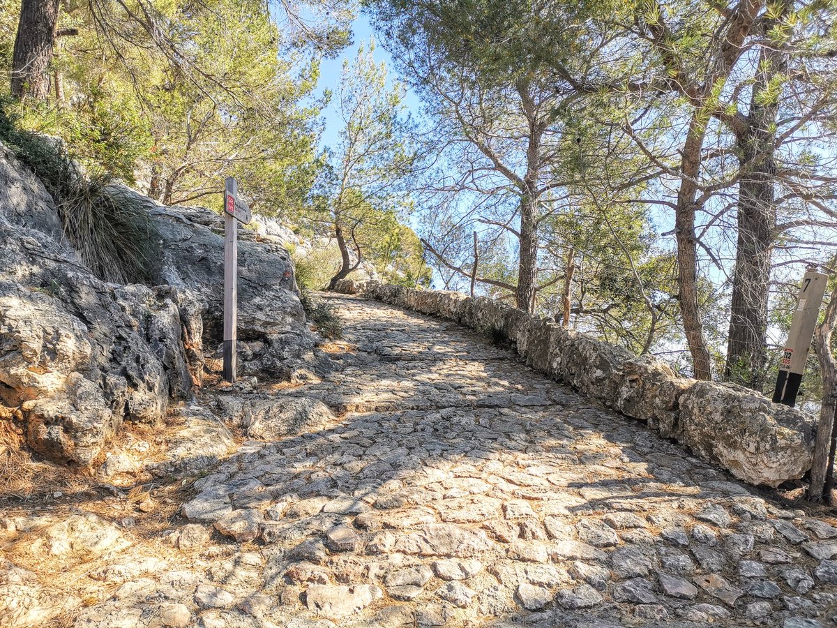 PuertoPollensa_Com tweet media