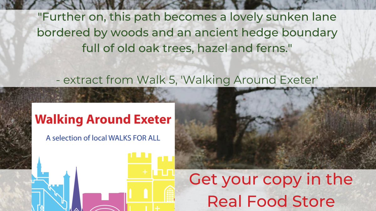 Walking Around Exeter is a new book revealing the hidden walking routes around Exeter. 🚶🌳

Get your copy for £5 from the Real Food Store 😊

#Exeter #Ramblers #GetOutside #TheGreatOutDoors #HiddenTrails