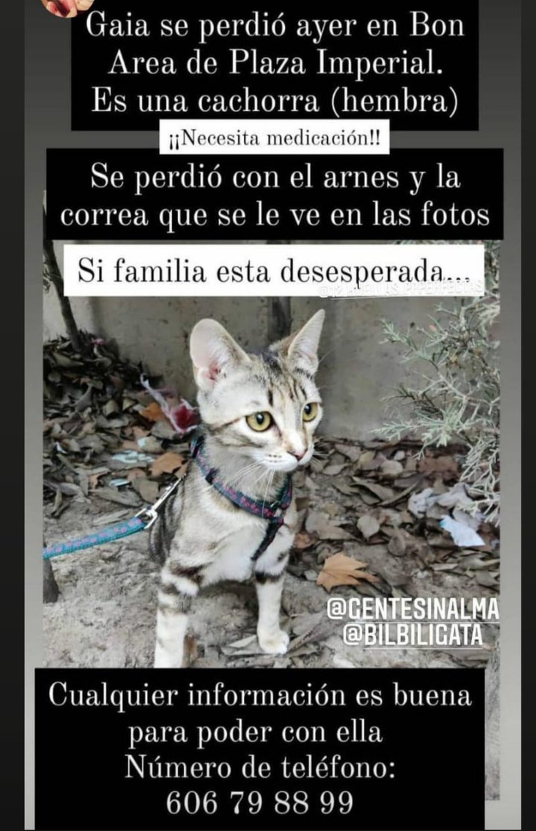 <a href="/jorge_pueyo95/">Jorge Pueyo</a> puedes difundir, porfa porfa 🙏