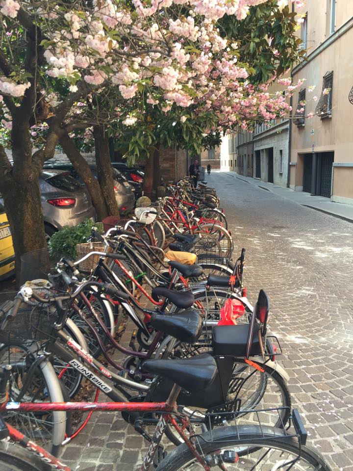 VicDucci's tweet photo. #ferrara #springtime☀️❤️ https://t.co/eseXPA0Oiv