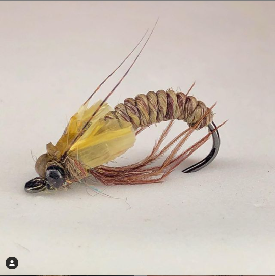 FarmsWhiting's tweet photo. Way of the pupa tied by @jantjedehaas
Pupa for spring fishing
Ahrex FW521 size #10 barbless
#flytyer #flytyingjunkie #wetfly #flytyingjunkie #atthevise #tieyourown #wetflyfish #troutfood #troutcandy #ahrex #troutfly #wetflies #pupafishing #ahrexhooks #fluebinding #flugbindning https://t.co/qjixu7xADh
