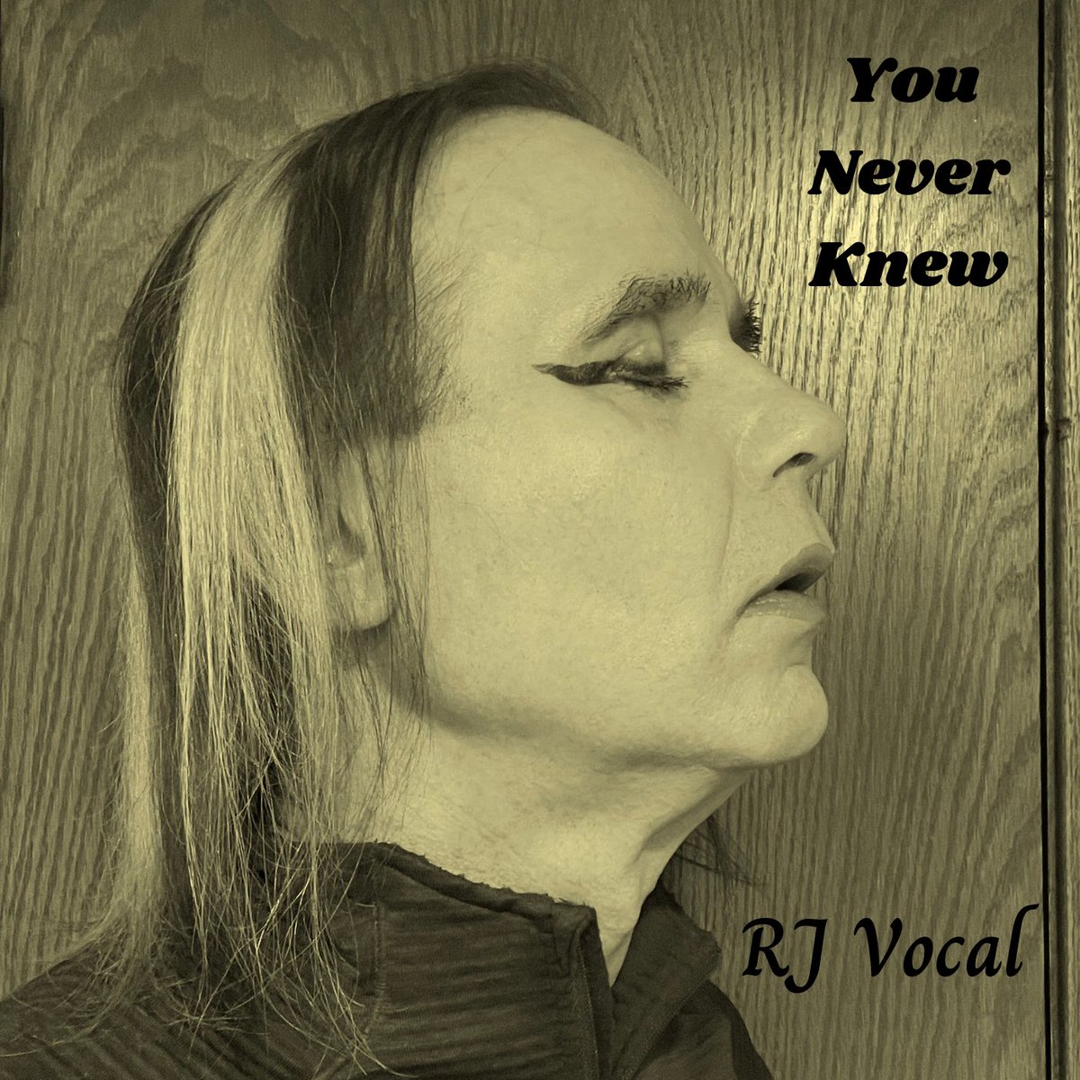 You Never Knew
Available now on Spotify, SoundCloud, and all streaming services. Lyric video on YouTube. Hope you like it😊RJ