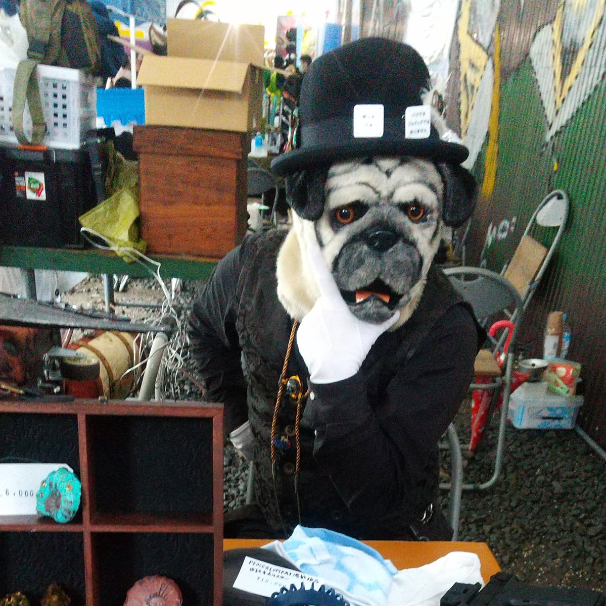 sskrdo's tweet photo. #チェンサバ4 https://t.co/N7SCrLghPn